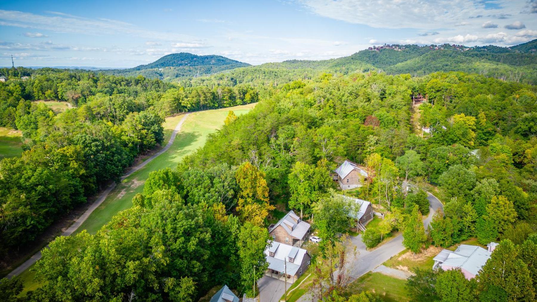 Paws In The Air Villa Pigeon Forge Buitenkant foto